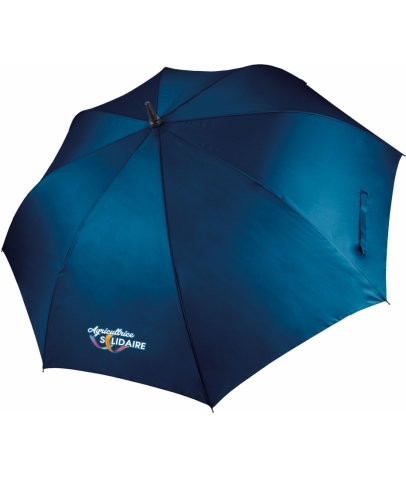 PARAPLUIE BLEU