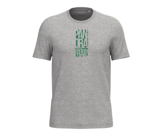 Panora'Trail - T-shirt-Gris