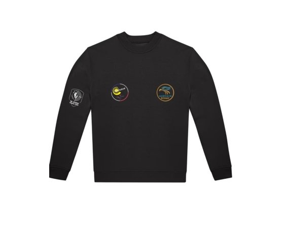 Formateurs ANIMATEUR - SWEAT-SHIRT COL ROND-Noir