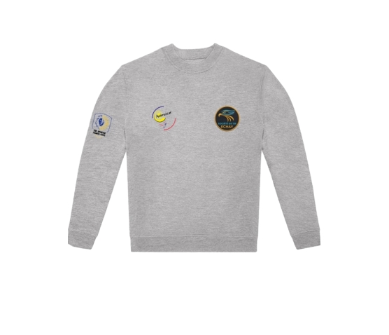 Formateurs ANIMATEUR - SWEAT-SHIRT COL ROND-Gris