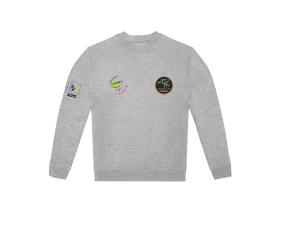 Formateurs INITIATEUR - SWEAT-SHIRT COL ROND-Gris
