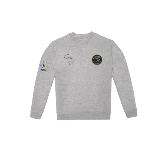 Formateurs MONITEUR TAR - SWEAT-SHIRT COL ROND-Gris